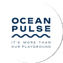 OceanPulse profile photo