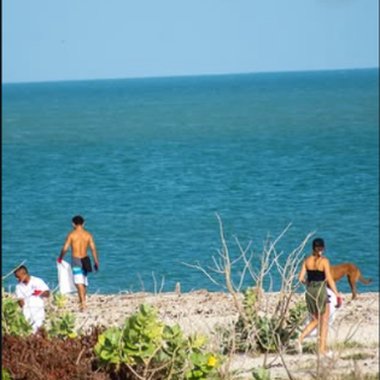 Volunteers collecting waste on the beach